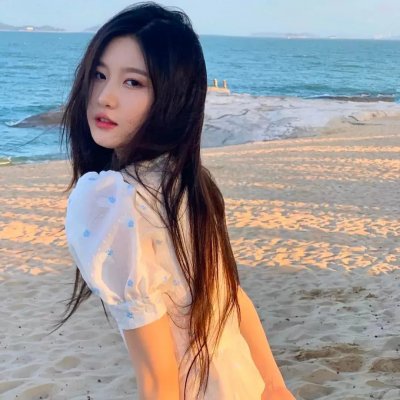 维也纳的姑娘们 海报